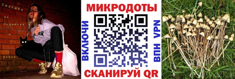 Галлюциногенные грибы Magic Shrooms  Щёкино 